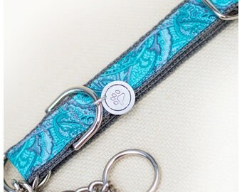 Pretty in Paisley Dog Collar