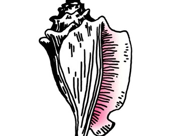 shell tattoo etsy shell tattoo etsy