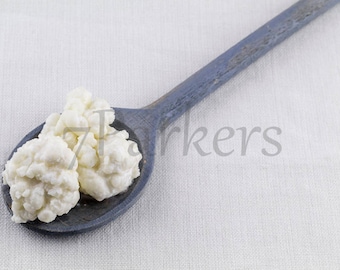 Mock-Up Stock Photo of Milk Kefir Grains on Wooden Spoon Instant Download for Social Media and Blogs; Styled; Product Photography; Web Use.