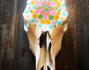 Real hand painted cow skull