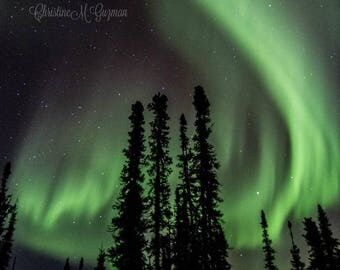Download PDF: Northern Lights: Northern Lights Part 1 by Philip Pullman Free Book PDF northern lights pdf download