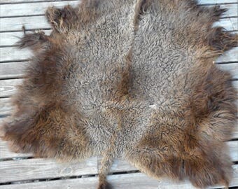 buffalo fur blanket rug hide 1890s authentic coat mens