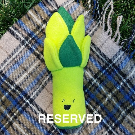 dog asparagus toy