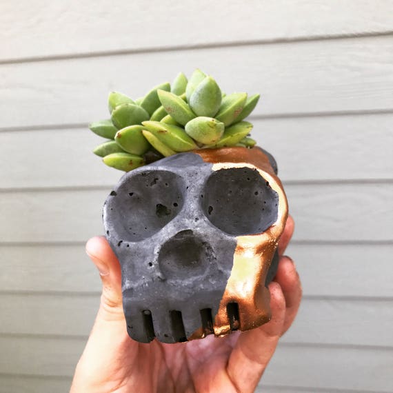 Peabo Skull V.2 / Cement