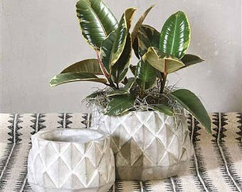 Cement Planter, Sago Palm Cement Planter, Succulent Planter, Gift for Her, Cement Decor, Concrete Decor, Cement Home Decor, Floral Supply