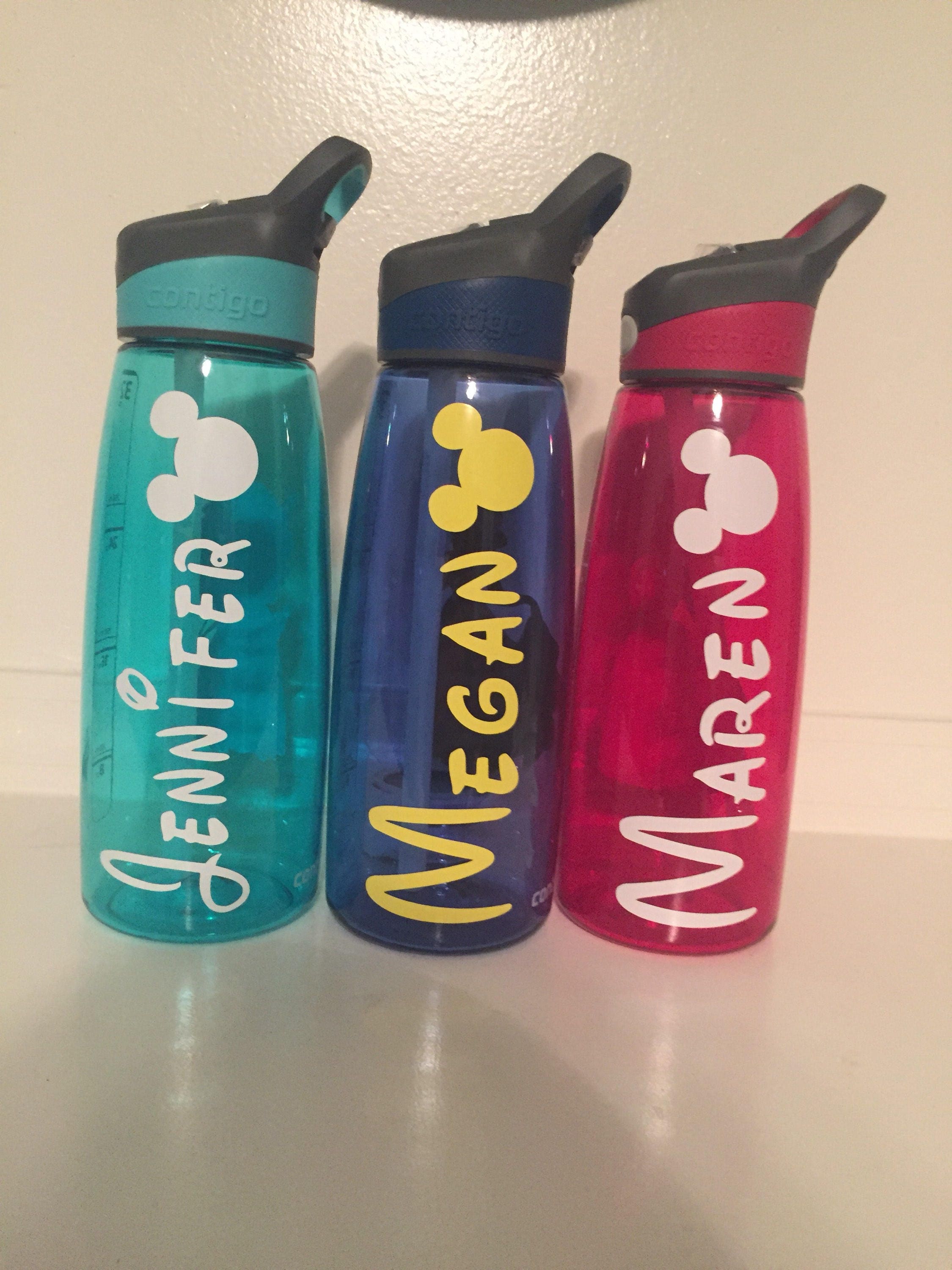 disney animators water bottle