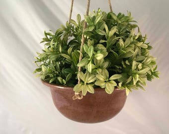 Medium Brown Hanging Planter - Stoneware