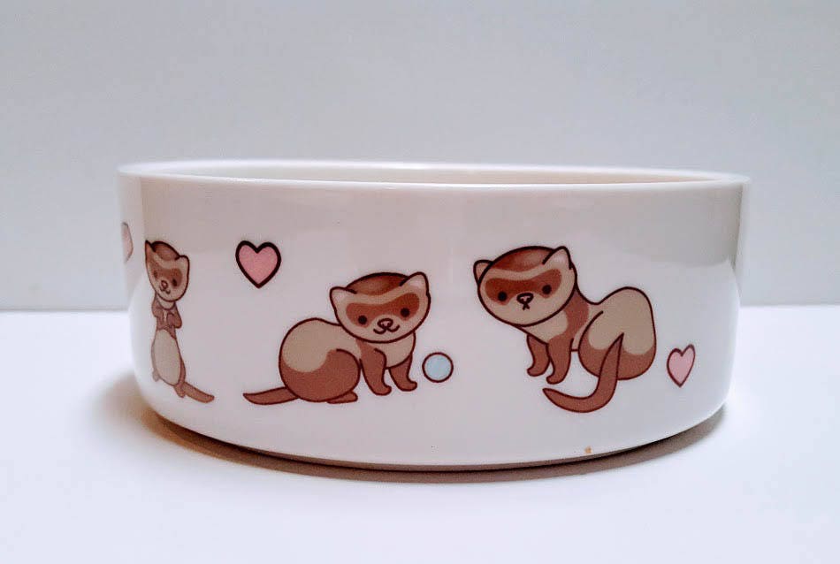 Ferret Ferret Bowl Water Dish Ferret Dish Pet Food Bowl