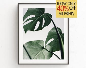 Monstera Poster, Instant Download Printable Art, Best Selling, Botanic Plant Print, Monstera Fine Art, Modern Print, Minimalism Art
