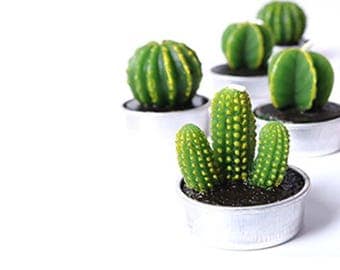 Cactus candle, cactus tea lite, cacti, cactus, artisan soap, candle, handmade, home decor, gifts