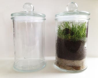 Terrarium - jar - jar - glass vase