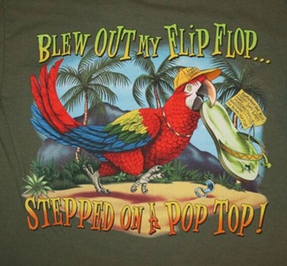 Blew Out My Flip-Flop Cross Stitch PatternLOOK