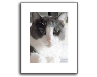 Gray Cat - Cat Prints - Grey cat portrait - 8 x 10