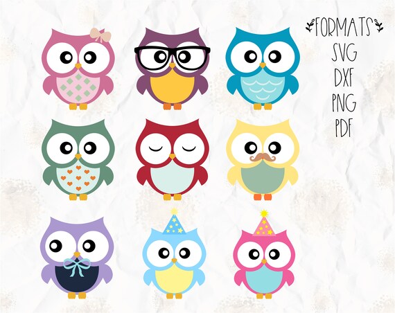 Download Owl birds party theme SVG layered PNG DXF for cricut