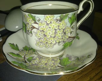 Royal Albert "Hawthorn" Vintage Teacup and Saucer, Flower of the Month Series
