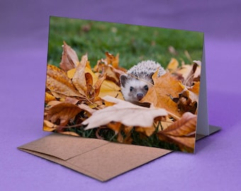 HEDGEHOG NOTE CARD - Hedgehog in Leaves Photo Note Card - Hedgehog Autumn Note Greeting Card - Fall Hedgehog Card