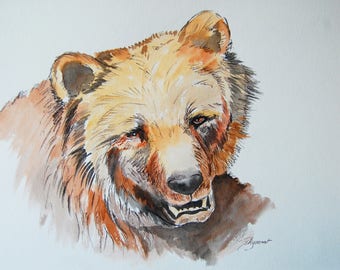 ours brun, animaux, nature, dessin encre et craie, art