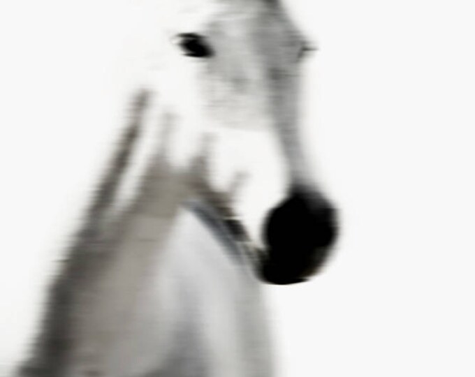 White Horse 4. Extra Large White Blur Contemporary Horse, Large Contemporary Canvas Art Print up to 72" by Irena Orlov