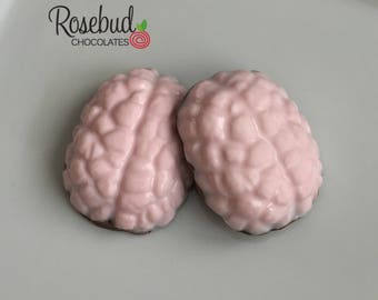 HUMAN BRAIN Chocolate Party Favors Medical School Nursing Graduation Nurse Doctor Mad Scientist Kids Birthday Zombie Halloween Retirement