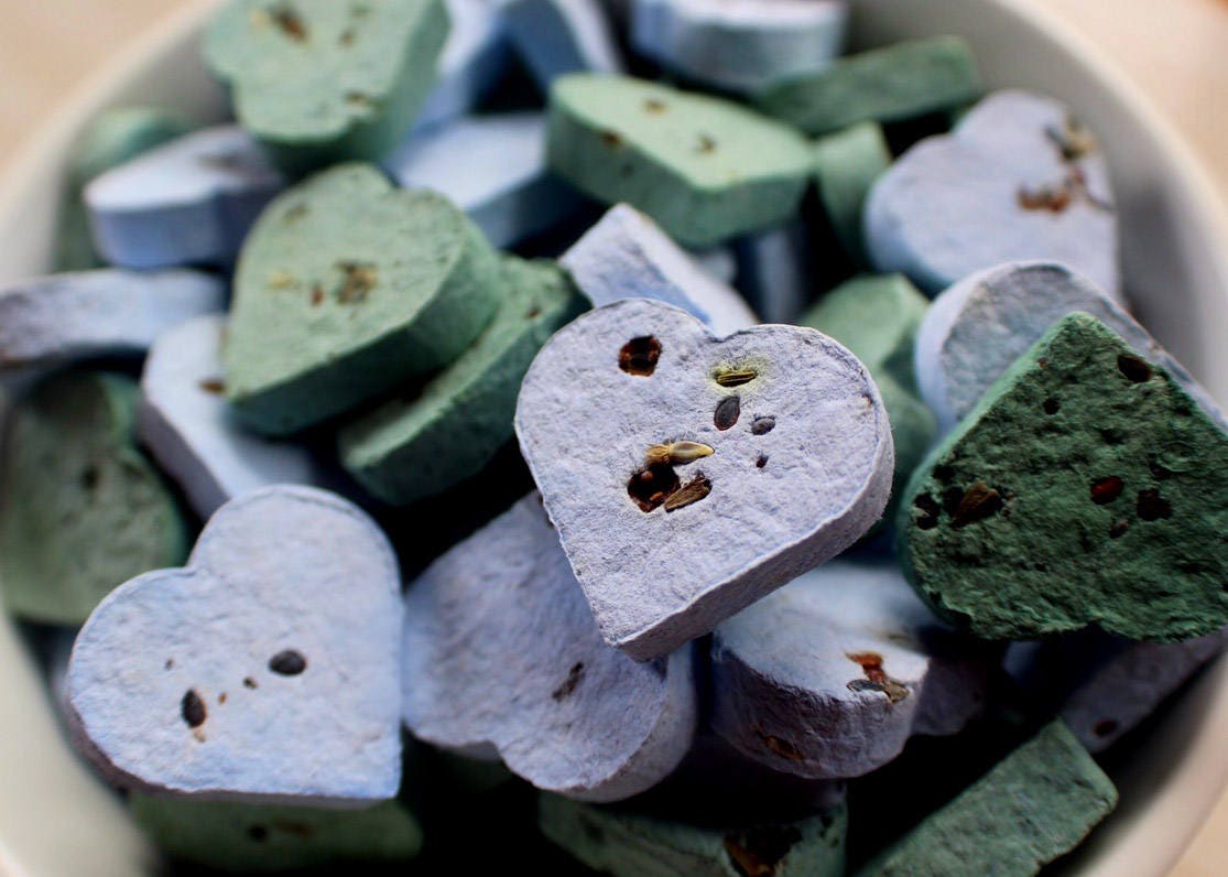 10 Wildflower Seed Bombs