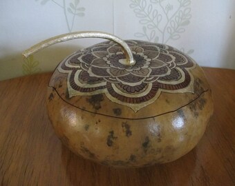 box squash gourd type flat Corsica 33 original