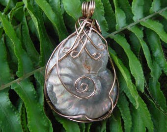 Opalized ammonite, Opal ammonite, Ammonite pendant, Ursula necklace