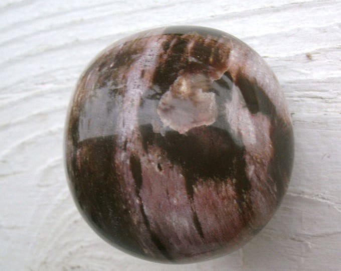 ON SALE Fabulous Petrified Wood freeform polished display specimen, palm stone, wood grain, browns pinkish and even purple hue