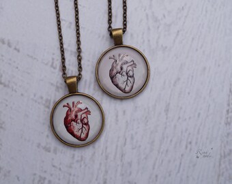 Anatomical Heart Necklace, Halloween Jewelry, Gift for Nurse, Gift for Doctor, Realistic Anatomical Human Heart Pendant, Anatomical Art