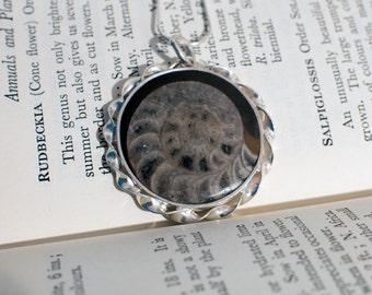 Ammonite pendant, fossil pendant, fossil jewellery, hand made jewellery, hand made pendant