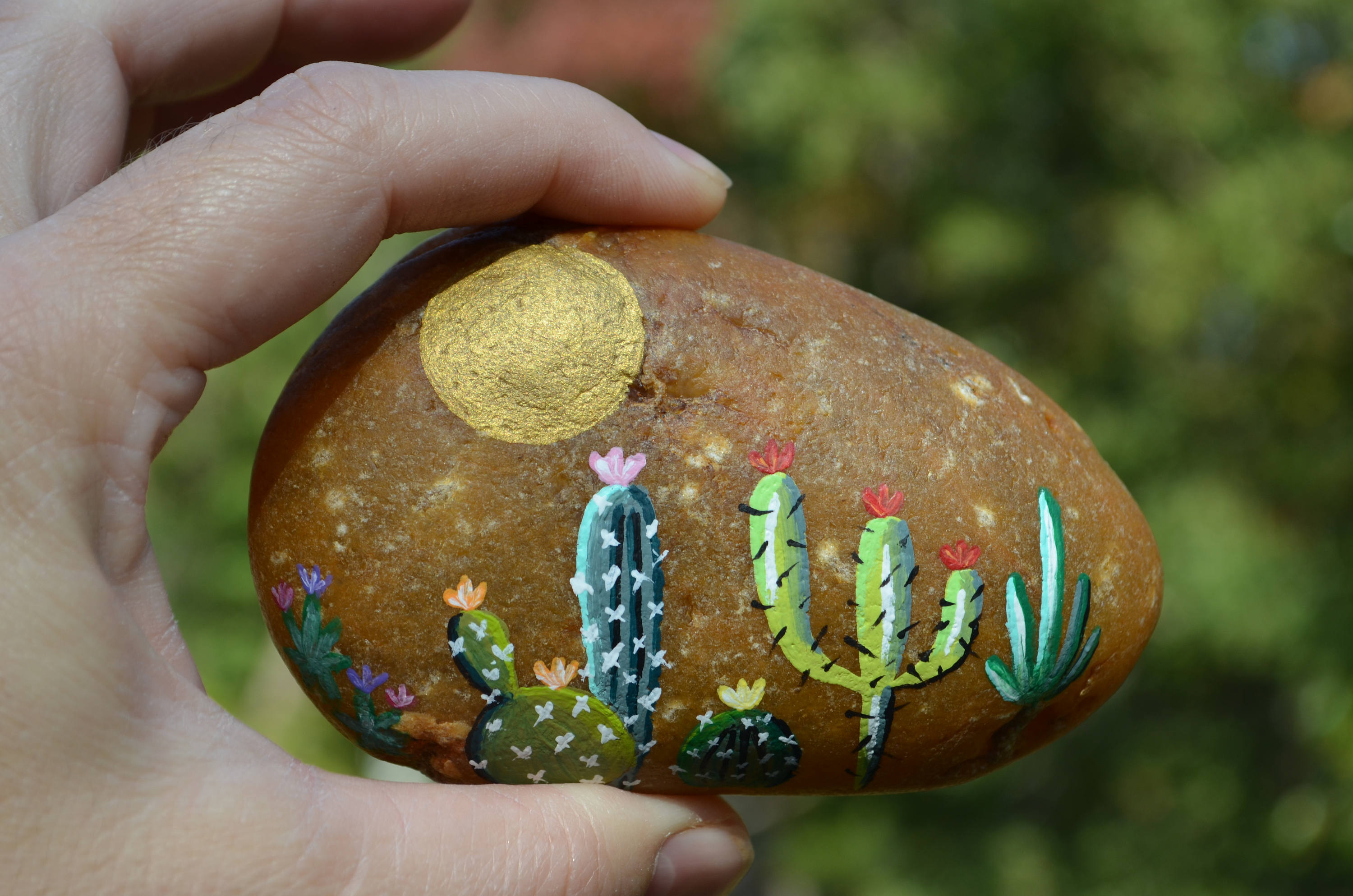 Painted Cactus Rock Cactus Desert Scene Cactus Art Hand