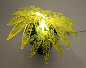 Floor Lamp, Lamp, Desk Lamp, Unique Lamp, Indoor Plant, Housewarming Gift, Table Lamp, Led Lamp, Hemp Lamp Plant, Night Light, Home Decor