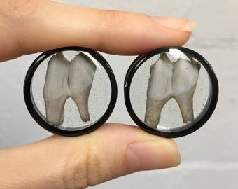 1" Deer Teeth Ear Plugs Gauges Pair 25mm, Halloween Plugs, Real Deer Tooth Earrings Body Jewelry, Taxidermy Creepy Cute:DEAD EARS by {118}
