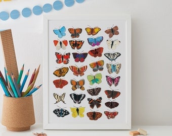 Butterfly Wall Art, Butterflies Print, Insect Art, Beetle Print, Home decor, Gift for her, Butterfly decor, Lady Bugs, Butterfly Art