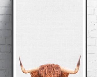 Highland Cow Art print, Wall Art, Highland Cow,nursery wall art, Animal art, Animal decor, Animals art, Baby animals, Kids art