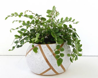 White Ceramic Planter / Pottery for Succulents, Cacti, House Plants / Ceramic Pot / The Pu’u Planter / READY TO SHIP