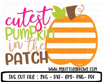 Cutest pumpkin in the patch svg - girl pumpkin patch - pumpkin patch svg - pumpkin svg - pumpkin dxf - pumpkin cut file - stripe pumpkin