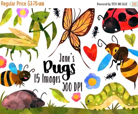 50% OFF Watercolor Bugs Clipart Garden Critters Download