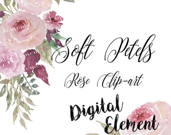Watercolor Clip-art, Watercolor Florals, Pink Rose Watercolor Clip-art, Pink Shabby Roses, Soft Pink Petals. No. WC58