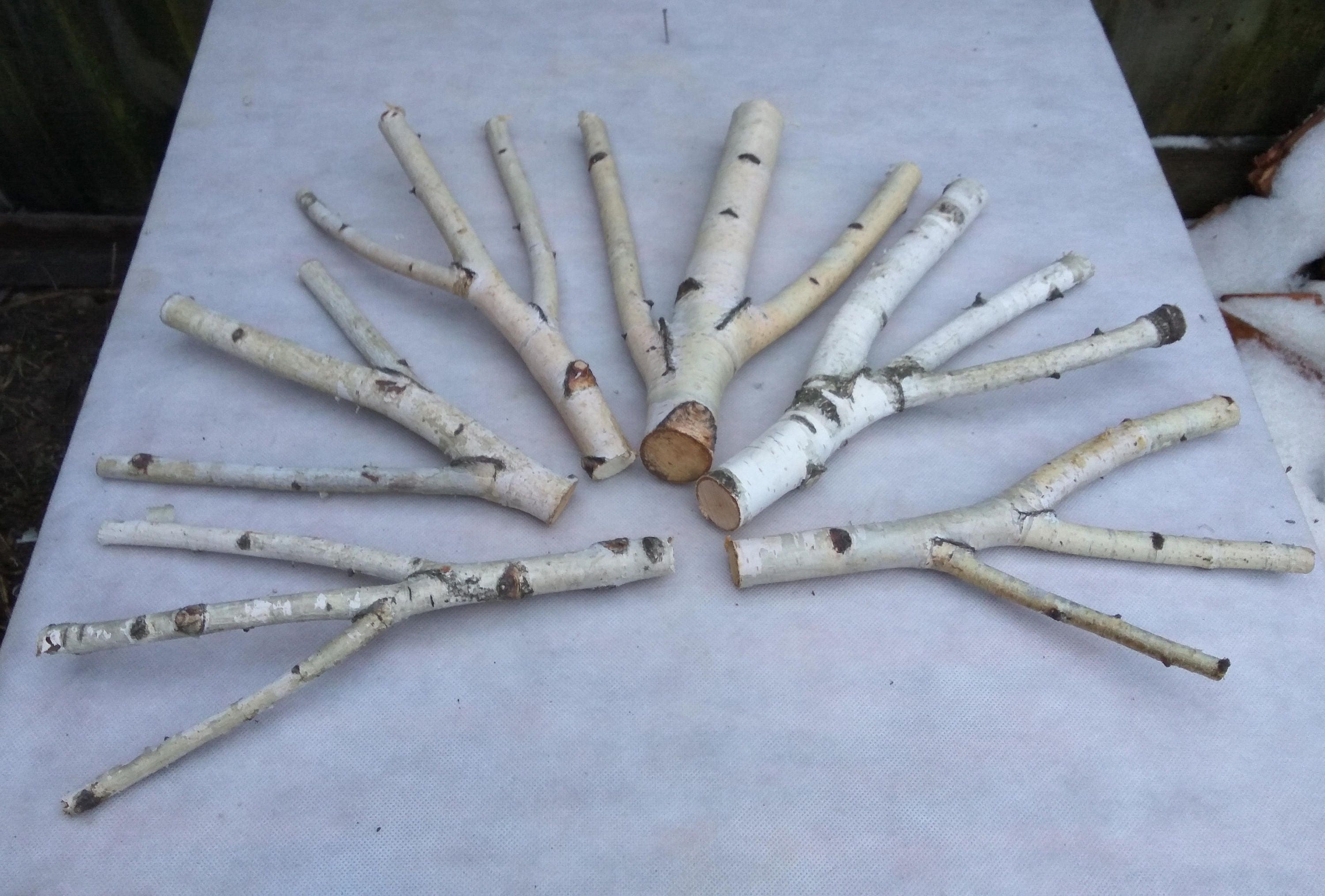 6 unique triple forked wood sticks, birch sticks, wood decor, Birch Log