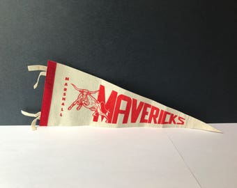 Sports Pennant 