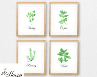 Herbs Kitchen Art Four 5x7 Herb PRINTABLES / Bay Laurel