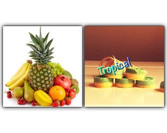 Tropical | wax melts | wax tarts | tropical fruit | fruit scented | soy wax melts | scented candle | fruity | sample packs