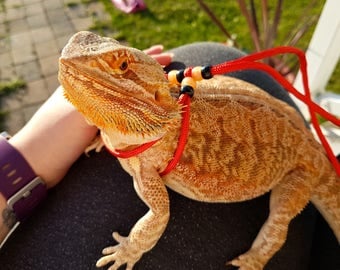 Adjustable Bearded Dragon Harness