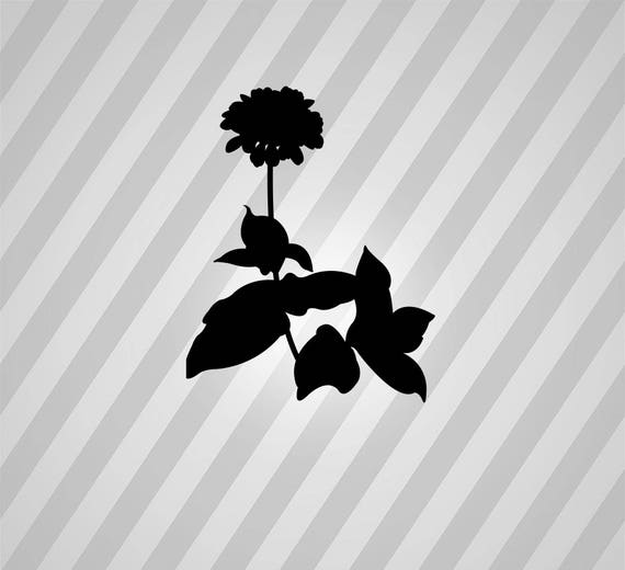 Free Free 247 Zinnia Flower Svg SVG PNG EPS DXF File
