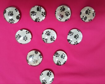 Paw Print Bubble Magnets