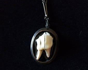 Deer Tooth Necklace 21"
