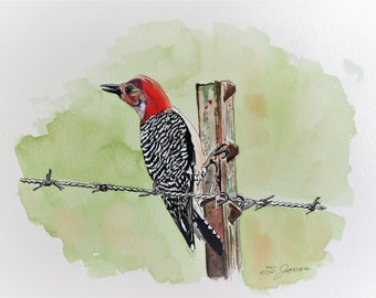 Pileated Woodpecker watercolor painting-Archival print