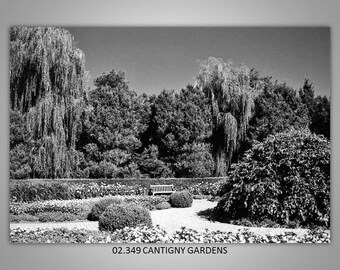 02.349 Limited Edition, Signed and Numbered 5x7 Image