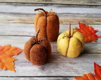Miniature Pumpkin Decor MADE TO ORDER Set Of 3 Miniature Pumpkin Decor MADE TO ORDER Set Of 3