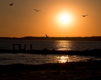 Sunset Photography, Cape Cod, Beach scape, Nature, Coastal, Landscape, Seagulls, Serene, Wall Art, Home Decor, Surf Drive Beach, Falmouth MA